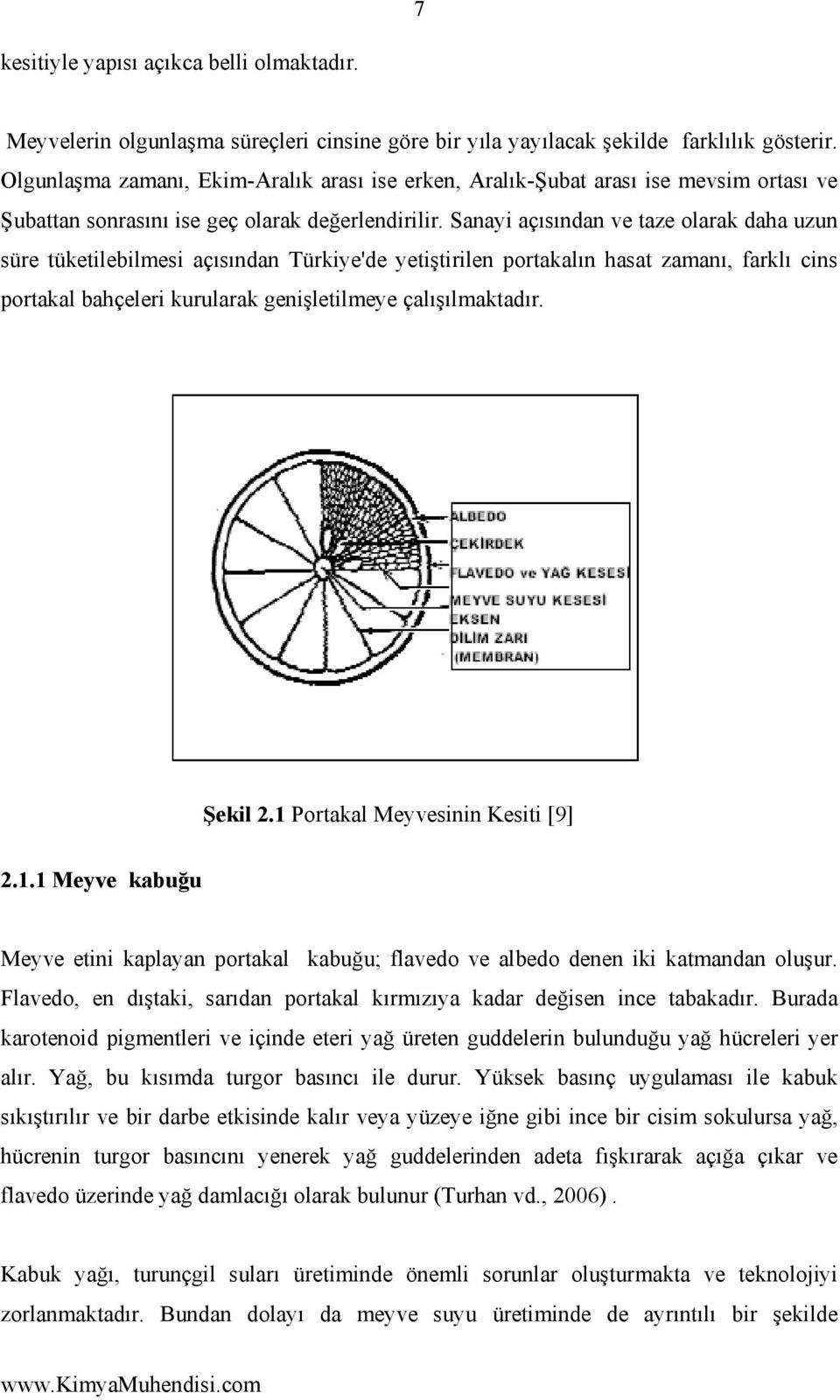 Sanayi açısından ve taze olarak daha uzun süre tüketilebilmesi açısından Türkiye'de yetiştirilen portakalın hasat zamanı, farklı cins portakal bahçeleri kurularak genişletilmeye çalışılmaktadır.