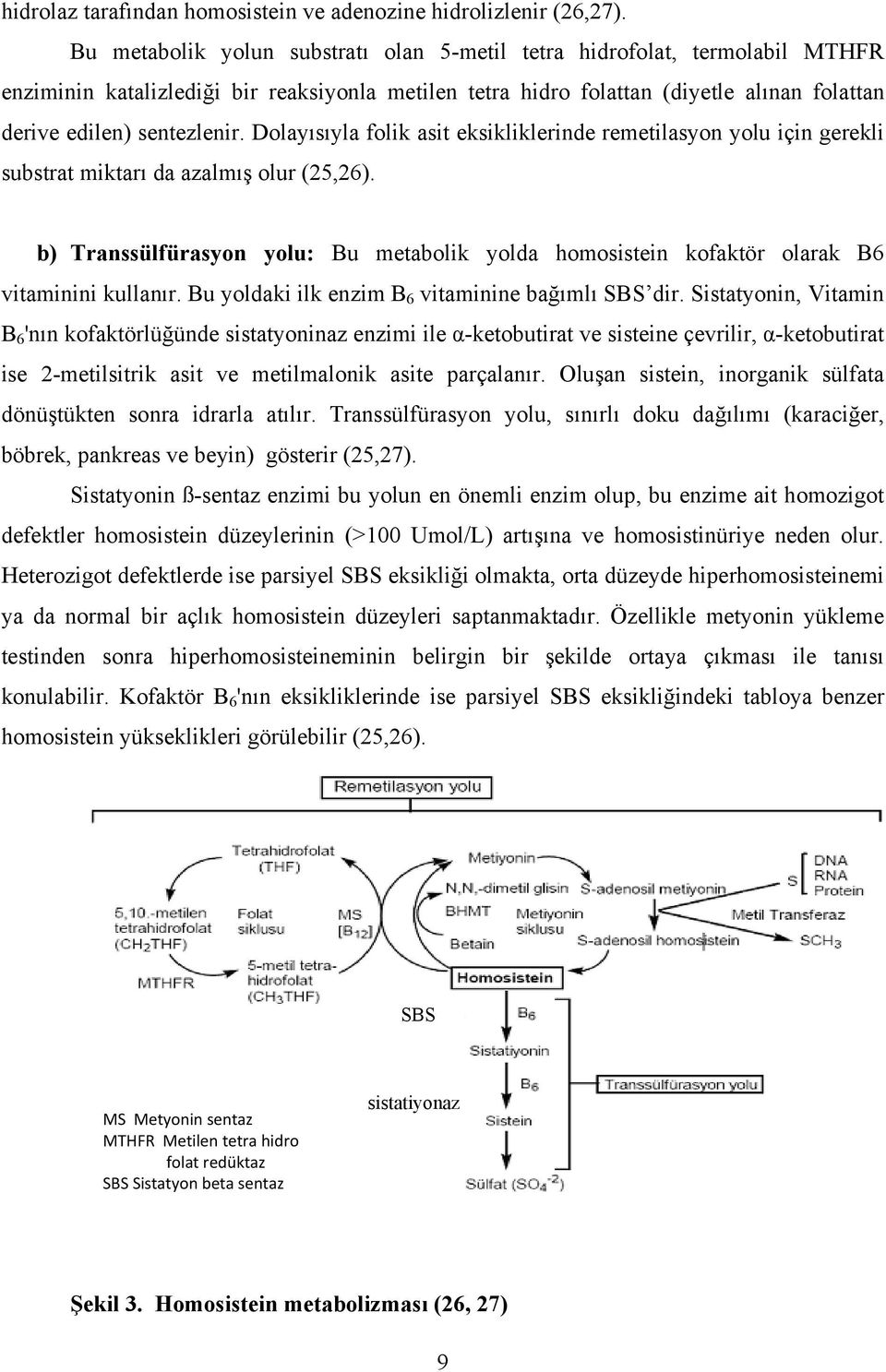 Dolayısıyla folik asit eksikliklerinde remetilasyon yolu için gerekli substrat miktarı da azalmış olur (25,26).