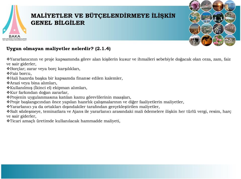 başka bir kapsamda finanse edilen kalemler, Arazi veya bina alımları, Kullanılmış (İkinci el) ekipman alımları, Kur farkından doğan zararlar, Projenin uygulanmasına katılan kamu görevlilerinin