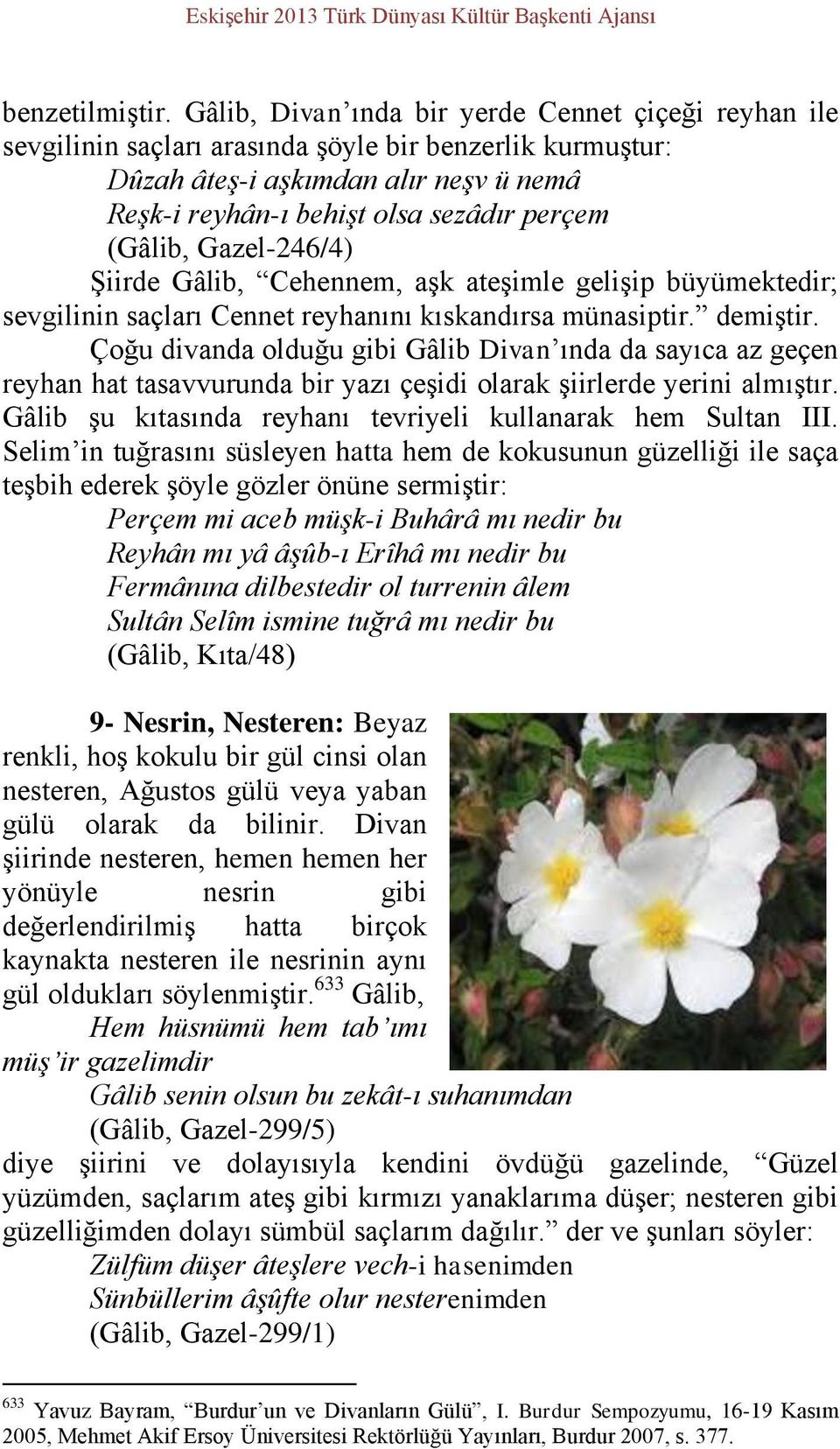 (Gâlib, Gazel-246/4) Şiirde Gâlib, Cehennem, aşk ateşimle gelişip büyümektedir; sevgilinin saçları Cennet reyhanını kıskandırsa münasiptir. demiştir.