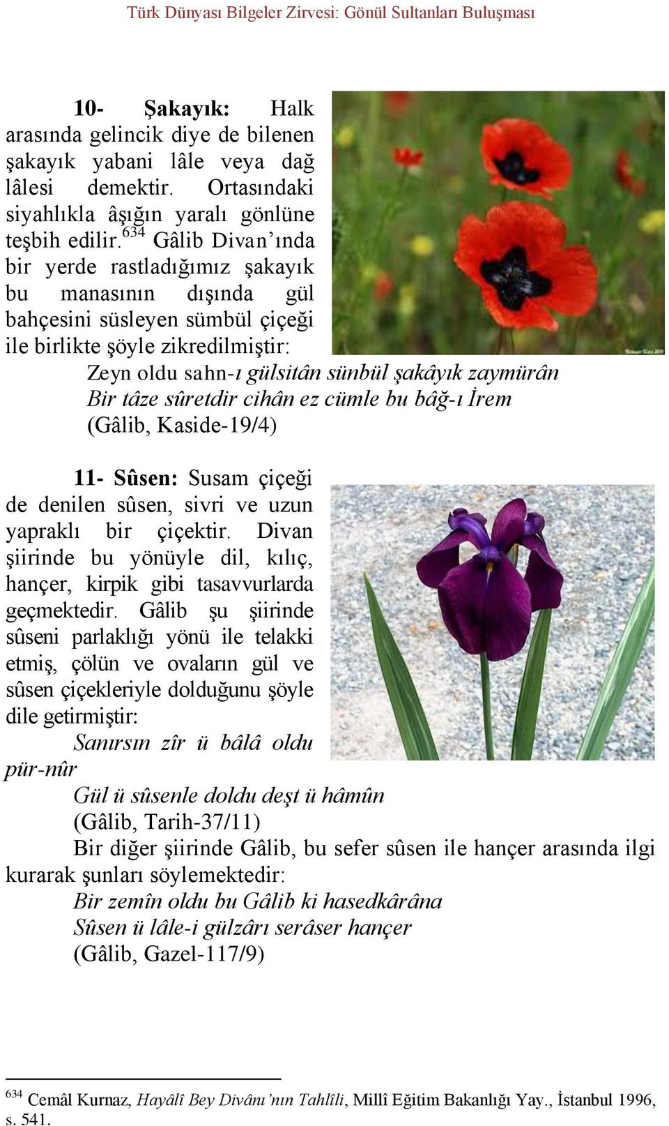 tâze sûretdir cihân ez cümle bu bâğ-ı İrem (Gâlib, Kaside-19/4) 11- Sûsen: Susam çiçeği de denilen sûsen, sivri ve uzun yapraklı bir çiçektir.