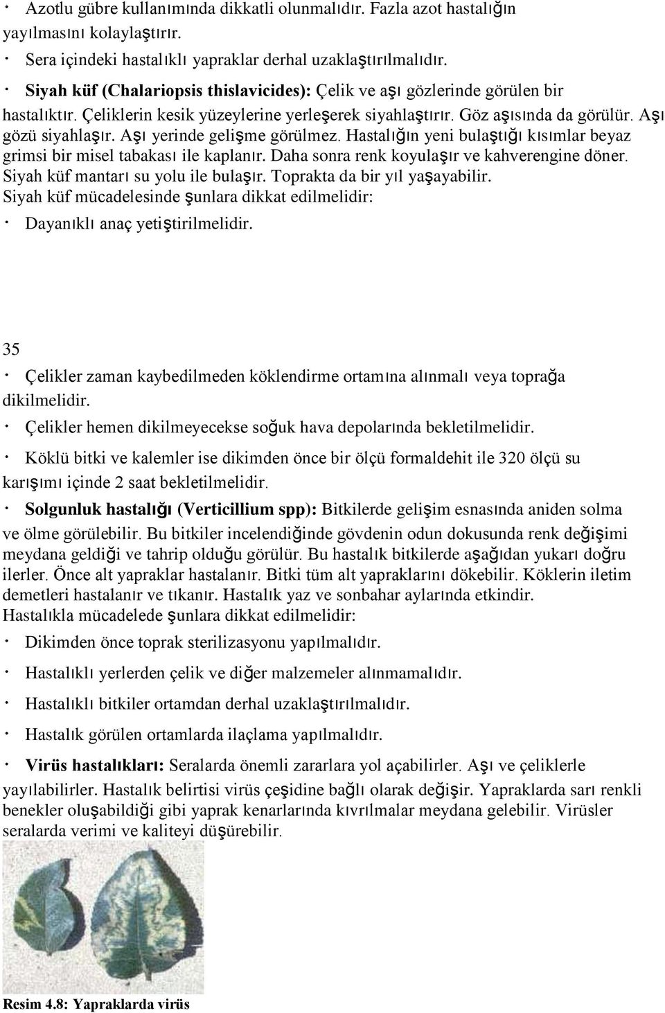 Aşı yerinde gelişme görülmez. Hastalığın yeni bulaştığı kısımlar beyaz grimsi bir misel tabakası ile kaplanır. Daha sonra renk koyulaşır ve kahverengine döner. Siyah küf mantarı su yolu ile bulaşır.