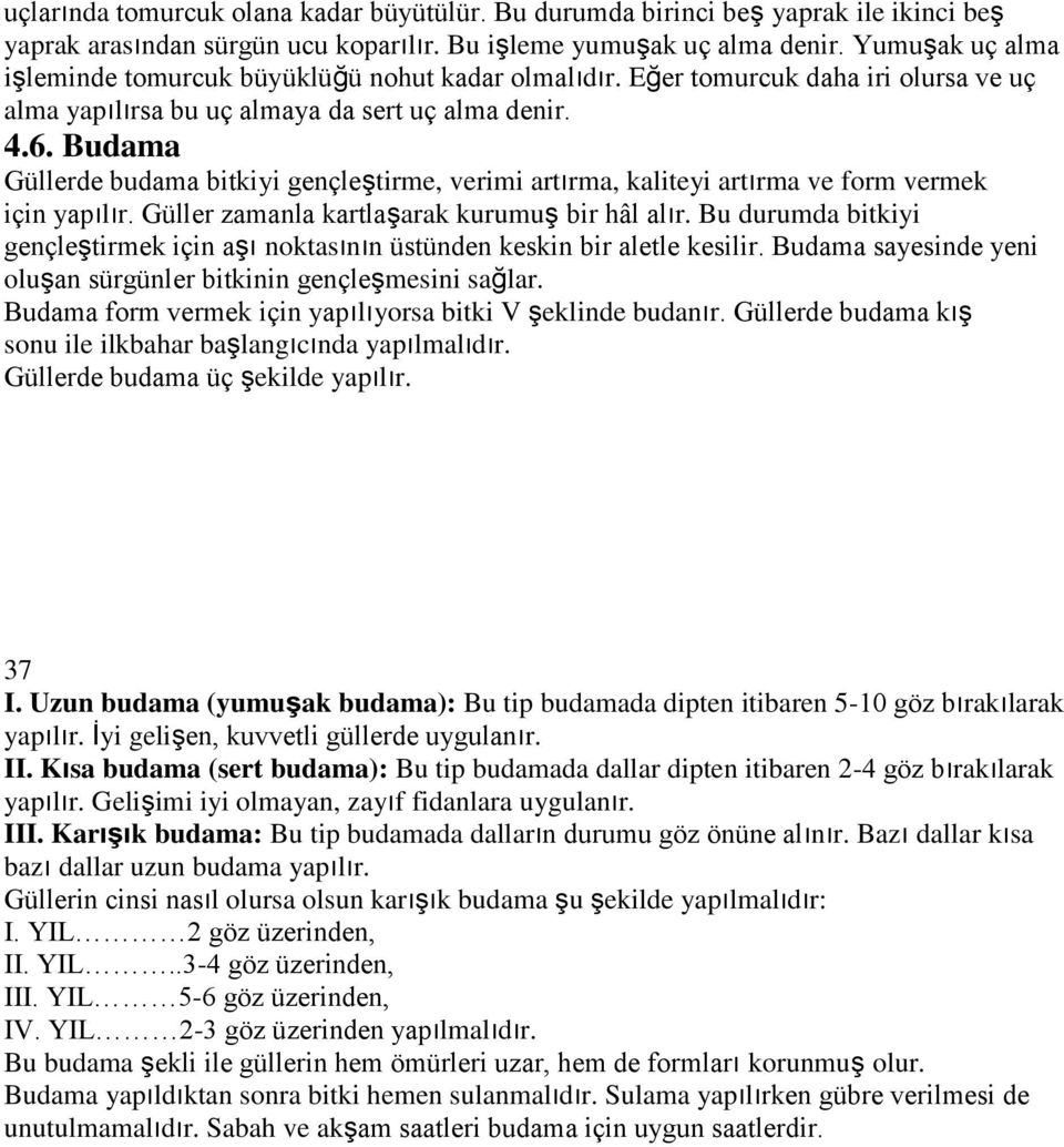 Budama Güllerde budama bitkiyi gençleştirme, verimi artırma, kaliteyi artırma ve form vermek için yapılır. Güller zamanla kartlaşarak kurumuş bir hâl alır.