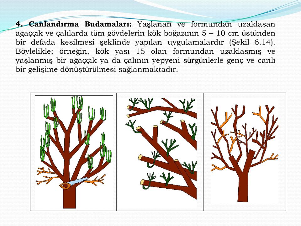 uygulamalardır (Şekil 6.14).