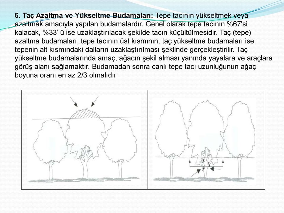 Taç (tepe) azaltma budamaları, tepe tacının üst kısmının, taç yükseltme budamaları ise tepenin alt kısmındaki dalların uzaklaştırılması