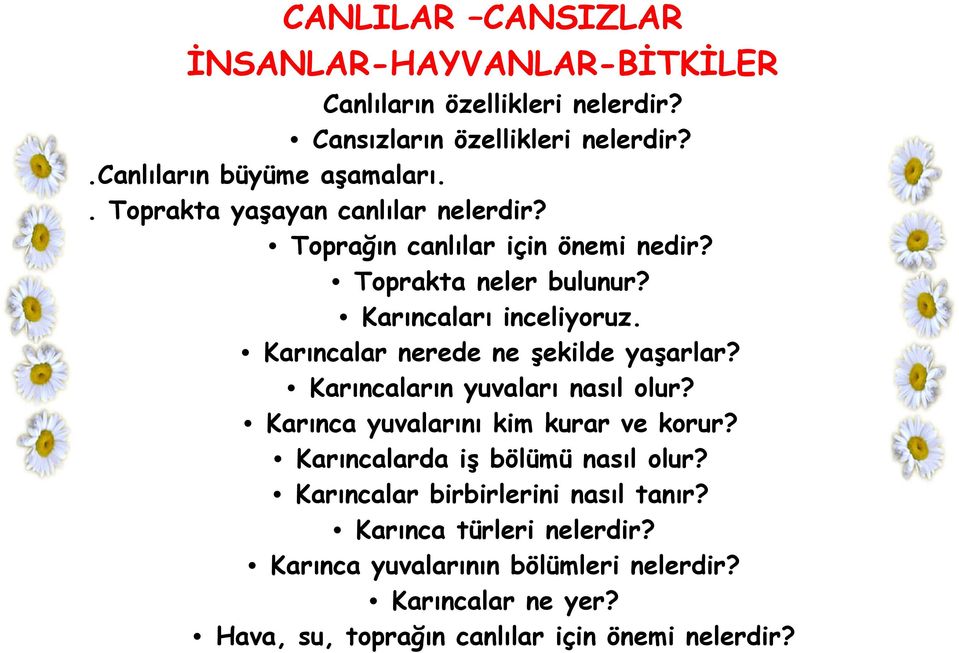 Karıncalar nerede ne şekilde yaşarlar? Karıncaların yuvaları nasıl olur? Karınca yuvalarını kim kurar ve korur? Karıncalarda iş bölümü nasıl olur?