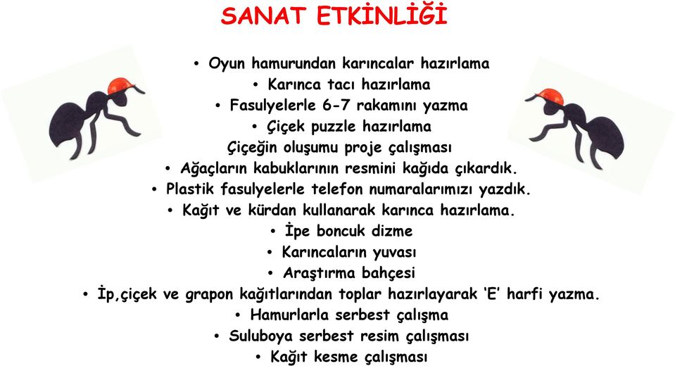 Plastik fasulyelerle telefon numaralarımızı yazdık. Kağıt ve kürdan kullanarak karınca hazırlama.