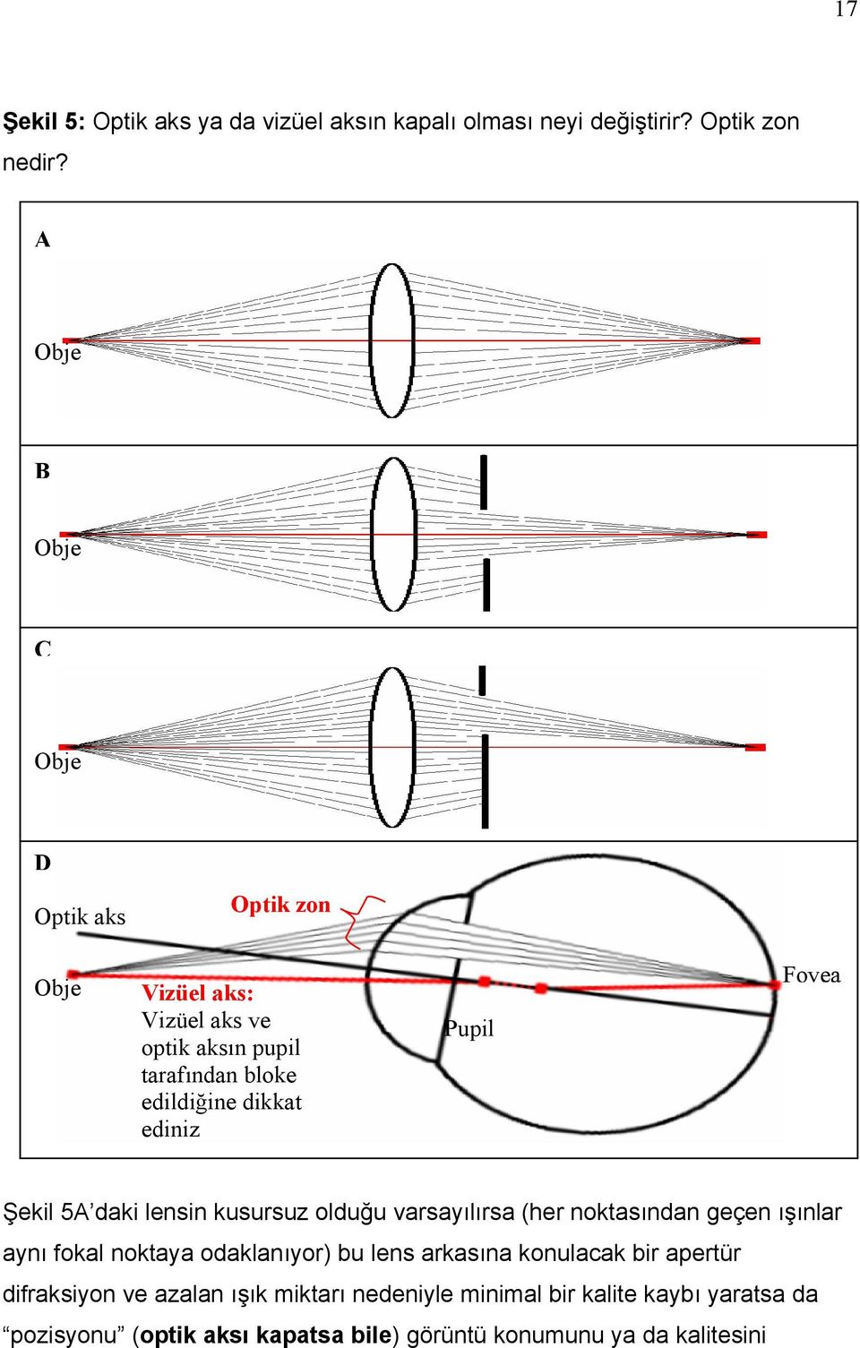 Pupil Fovea Şekil 5A daki lensin kusursuz olduğu varsayılırsa (her noktasından geçen ışınlar aynı fokal noktaya odaklanıyor) bu lens