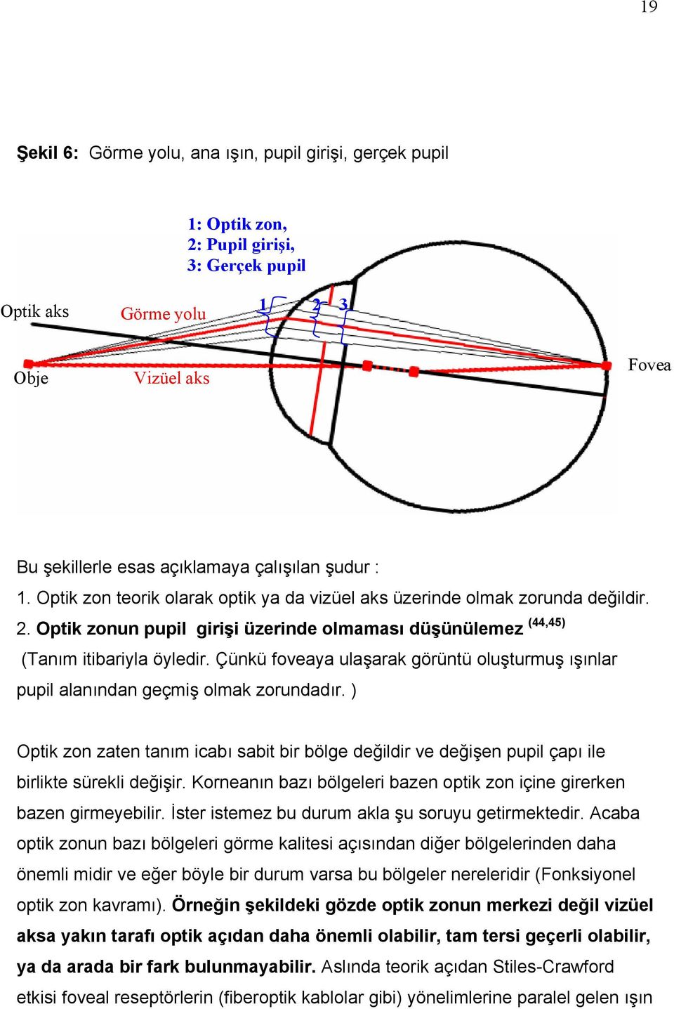 Çünkü foveaya ulaşarak görüntü oluşturmuş ışınlar pupil alanından geçmiş olmak zorundadır. ) Optik zon zaten tanım icabı sabit bir bölge değildir ve değişen pupil çapı ile birlikte sürekli değişir.