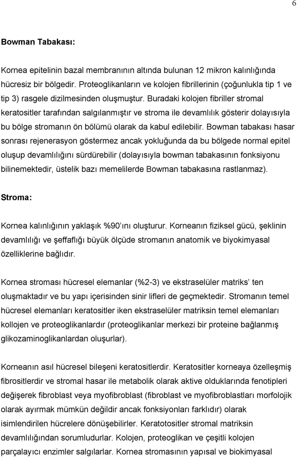 Buradaki kolojen fibriller stromal keratositler tarafından salgılanmıştır ve stroma ile devamlılık gösterir dolayısıyla bu bölge stromanın ön bölümü olarak da kabul edilebilir.