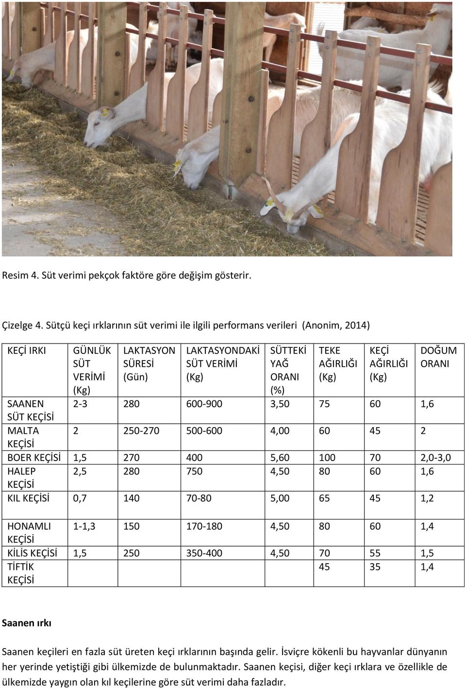 AĞIRLIĞI (Kg) KEÇİ AĞIRLIĞI (Kg) DOĞUM ORANI SAANEN 2-3 280 600-900 3,50 75 60 1,6 SÜT KEÇİSİ MALTA 2 250-270 500-600 4,00 60 45 2 KEÇİSİ BOER KEÇİSİ 1,5 270 400 5,60 100 70 2,0-3,0 HALEP 2,5 280 750