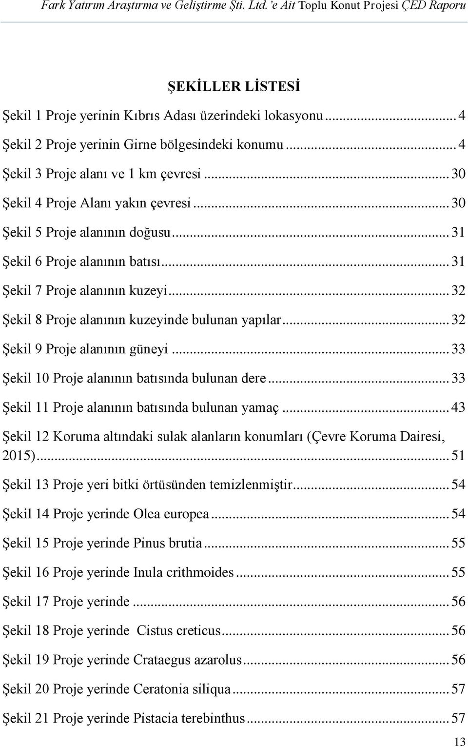 .. 32 Şekil 8 Proje alanının kuzeyinde bulunan yapılar... 32 Şekil 9 Proje alanının güneyi... 33 Şekil 10 Proje alanının batısında bulunan dere... 33 Şekil 11 Proje alanının batısında bulunan yamaç.