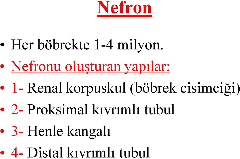 korpuskul (böbrek cisimciği) 2- Proksimal