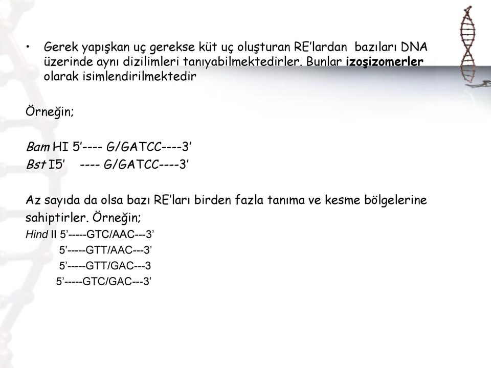 Bunlar izoşizomerler olarak isimlendirilmektedir Örneğin; Bam HI 5 ---- G/GATCC----3 Bst I5 ----