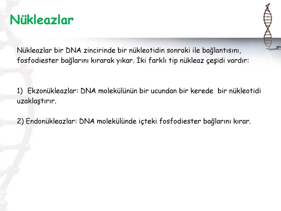 İki farklı tip nükleaz çeşidi vardır: 1) Ekzonükleazlar: DNA molekülünün bir