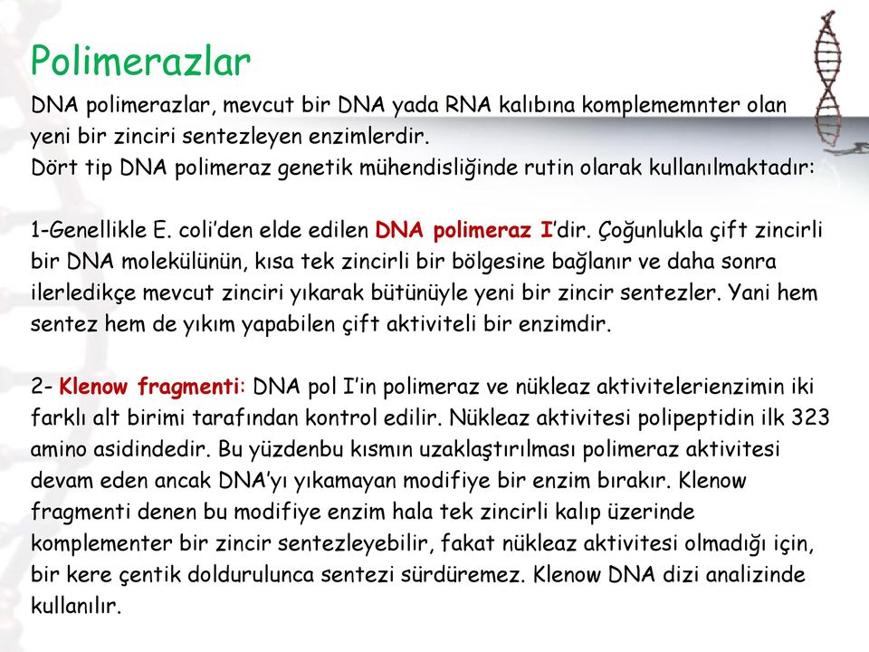 Çoğunlukla çift zincirli bir DNA molekülünün, kısa tek zincirli bir bölgesine bağlanır ve daha sonra ilerledikçe mevcut zinciri yıkarak bütünüyle yeni bir zincir sentezler.