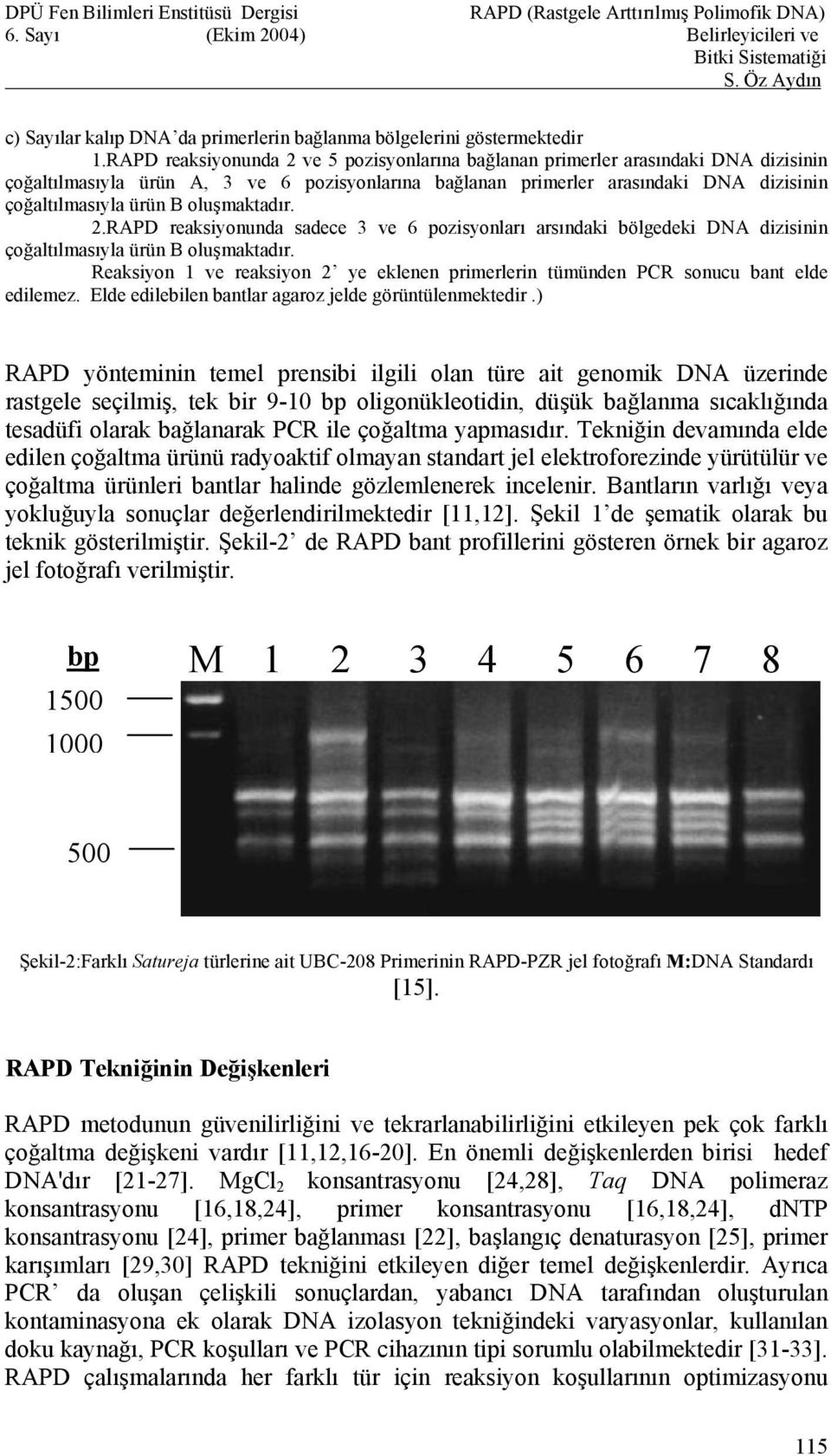 oluşmaktadır. 2.RAPD reaksiyonunda sadece 3 ve 6 pozisyonları arsındaki bölgedeki DNA dizisinin çoğaltılmasıyla ürün B oluşmaktadır.