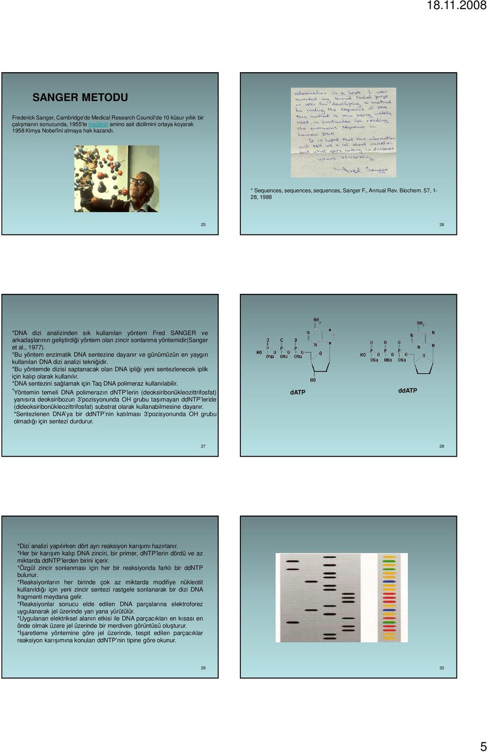 57, 1-28, 1988 25 26 *DNA dizi analizinden sık kullanılan yöntem Fred SANGER ve arkadaşlarının geliştirdiği yöntem olan zincir sonlanma yöntemidir(sanger et al., 1977).