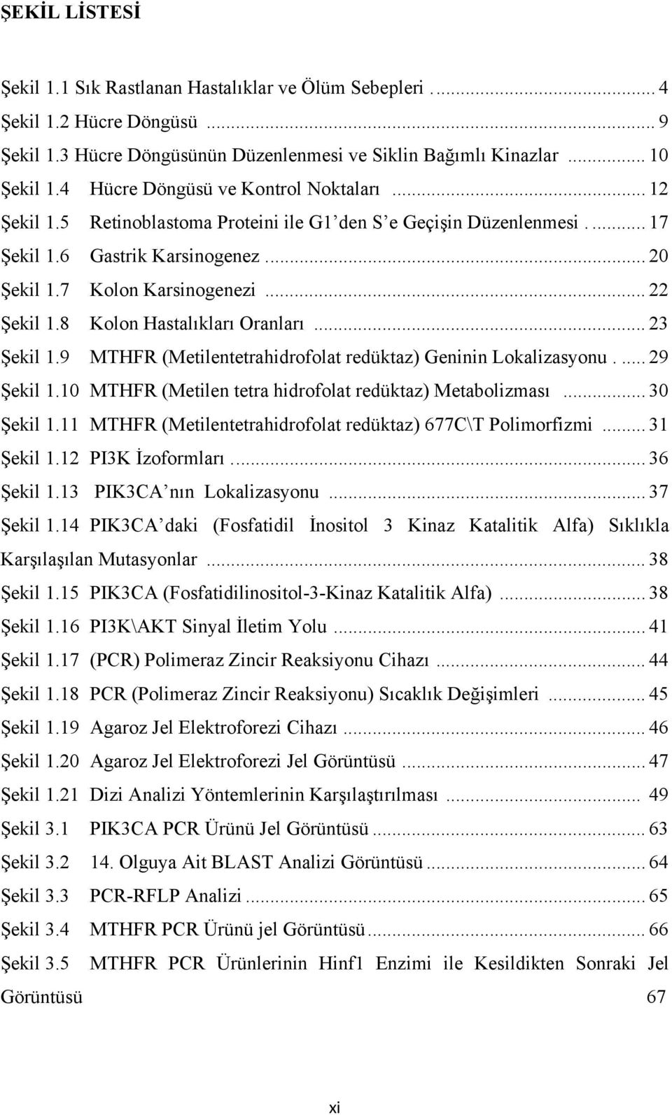 8 Kolon Hastalıkları Oranları... 23 Şekil 1.9 MTHFR (Metilentetrahidrofolat redüktaz) Geninin Lokalizasyonu.... 29 Şekil 1.10 MTHFR (Metilen tetra hidrofolat redüktaz) Metabolizması... 30 Şekil 1.