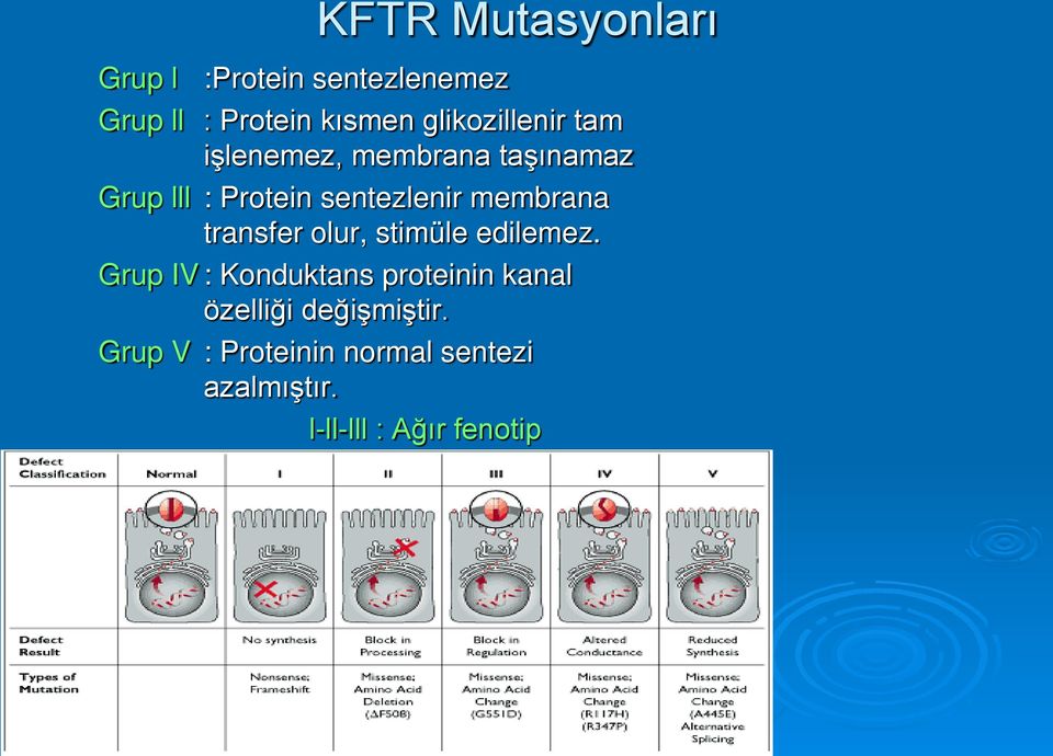 membrana transfer olur, stimüle edilemez.