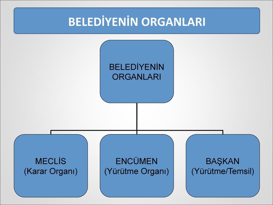 ENCÜMEN (Yürütme Organı)