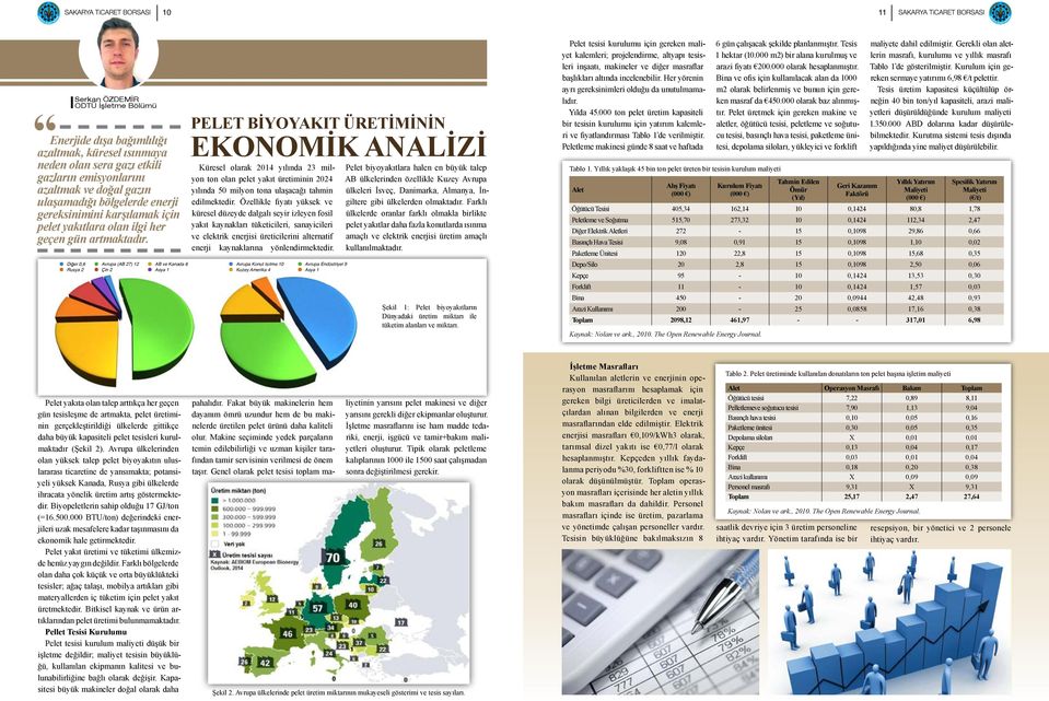 Di er 0,6 Avrupa (AB 27) 12 AB ve Kanada 6 Rusya 2 Çin 2 Asya 1 PELET BİYOYAKIT ÜRETİMİNİN EKONOMİK ANALİZİ Küresel olarak 2014 yılında 23 milyon ton olan pelet yakıt üretiminin 2024 yılında 50