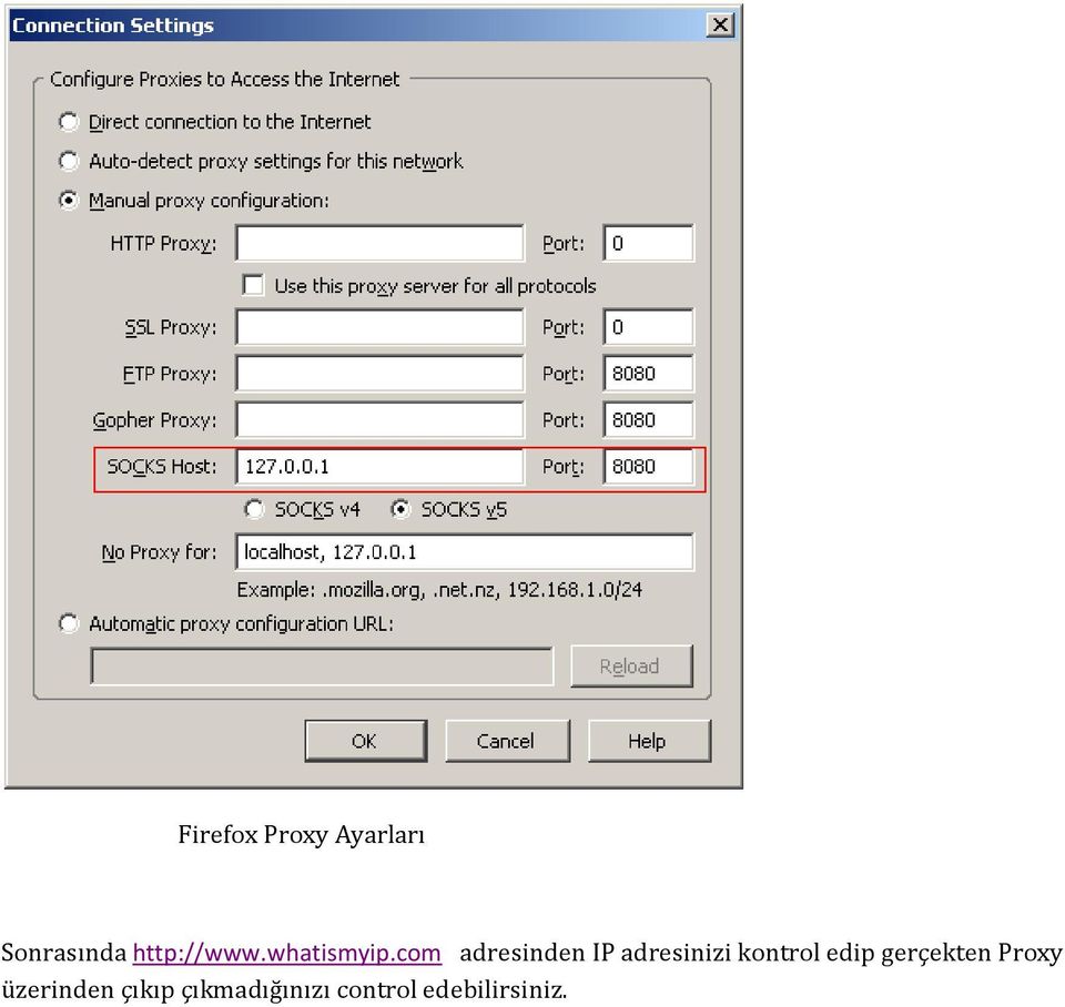 com adresinden IP adresinizi kontrol edip