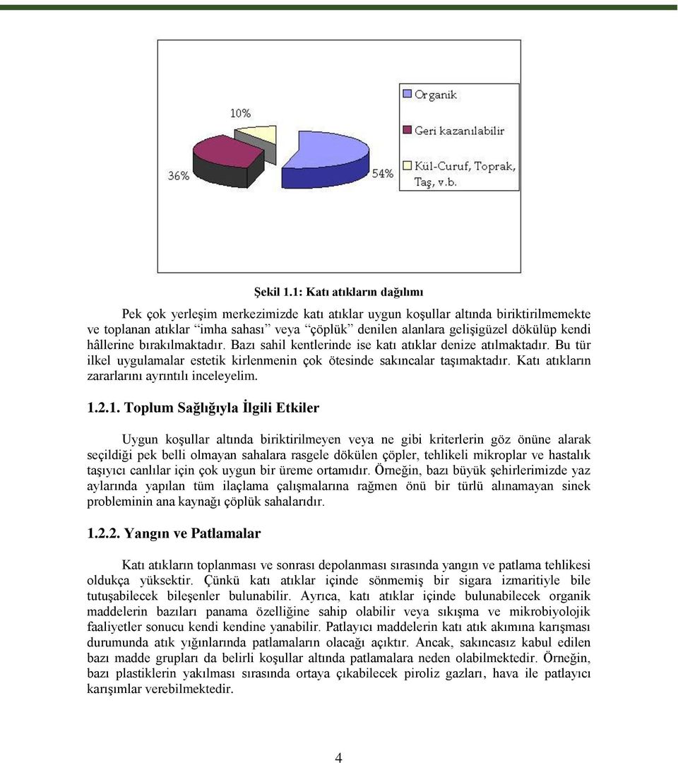 hâllerine bırakılmaktadır. Bazı sahil kentlerinde ise katı atıklar denize atılmaktadır. Bu tür ilkel uygulamalar estetik kirlenmenin çok ötesinde sakıncalar taşımaktadır.