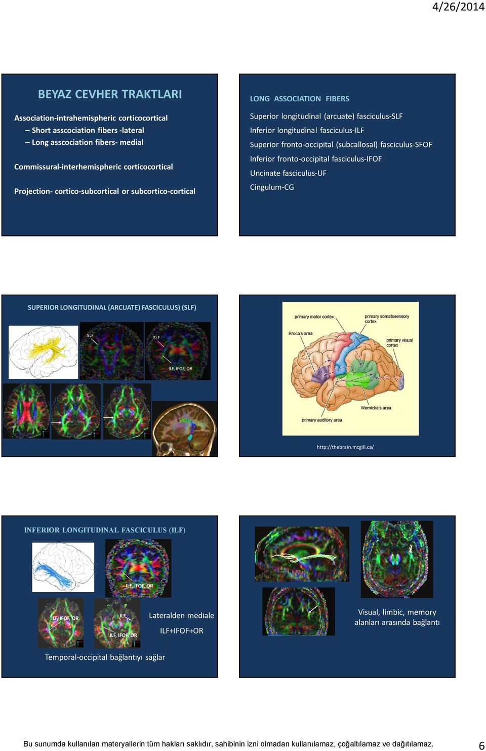 (subcallosal) fasciculus-sfof Inferior fronto-occipital fasciculus-ifof Uncinate fasciculus-uf Cingulum-CG SUPEIO ONGITUDIN (CUTE) FSCICUUS) (SF) SF SF IF, IFOF, O http://thebrain.