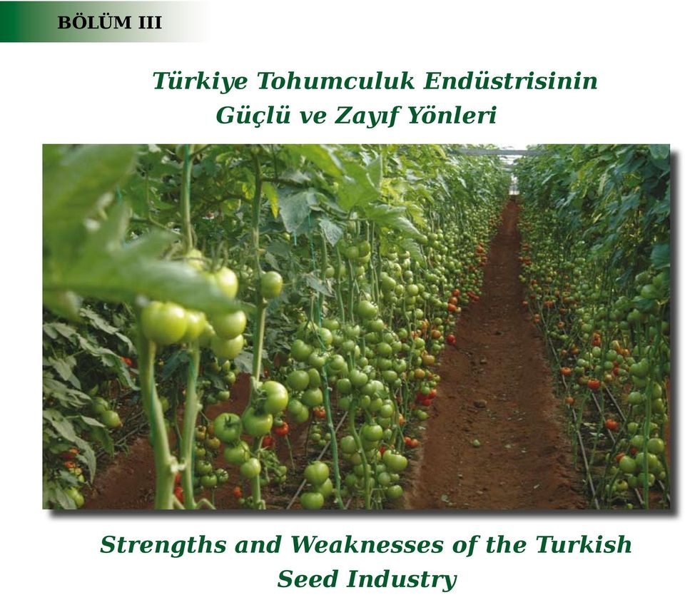 Yönleri Strengths and