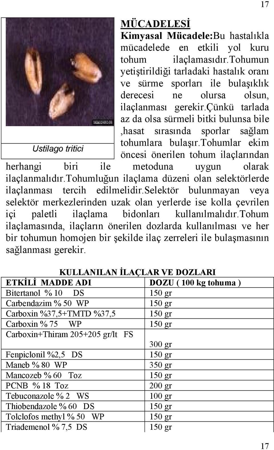 çünkü tarlada az da olsa sürmeli bitki bulunsa bile,hasat sırasında sporlar sağlam tohumlara bulaşır.