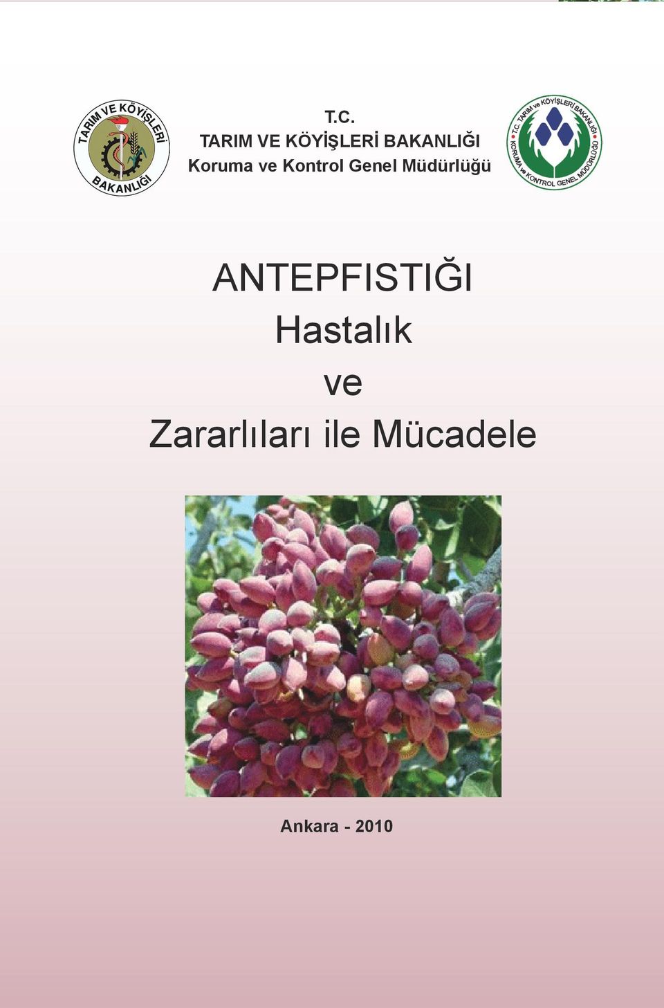 Kontrol Genel Müdürlüğü ANTEPFISTIĞI