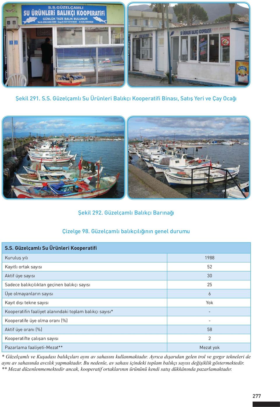 Kooperatifi Kuruluş yılı 1988 Kayıtlı ortak sayısı 52 Aktif üye sayısı 30 Sadece balıkçılıktan geçinen balıkçı sayısı 25 Üye olmayanların sayısı 6 Kayıt dışı tekne sayısı Kooperatifin faaliyet