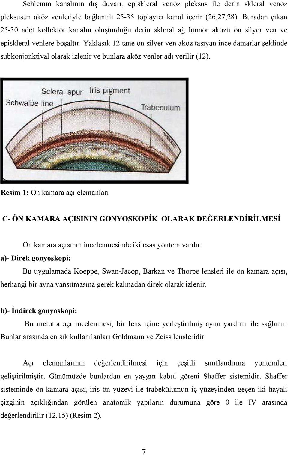 Yaklaşık 12 tane ön silyer ven aköz taşıyan ince damarlar şeklinde subkonjonktival olarak izlenir ve bunlara aköz venler adı verilir (12).