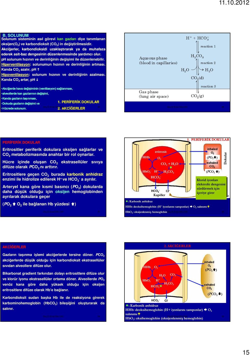 Hiperventilasyon: solunumun hızının ve derinliğinin artması. Kanda CO 2 azalır, ph Hipoventilasyon: solunum hızının ve derinliğinin azalması.