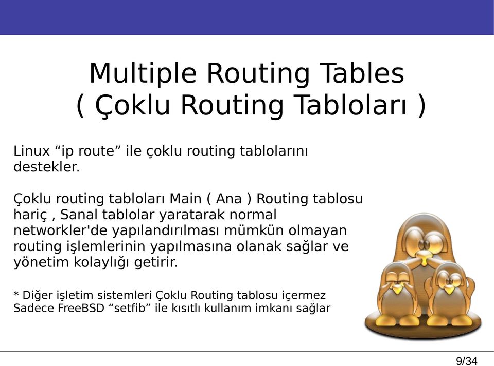 yapılandırılması mümkün olmayan routing işlemlerinin yapılmasına olanak sağlar ve yönetim kolaylığı getirir.