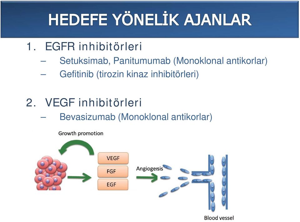 Gefitinib (tirozin kinaz inhibitörleri) 2.