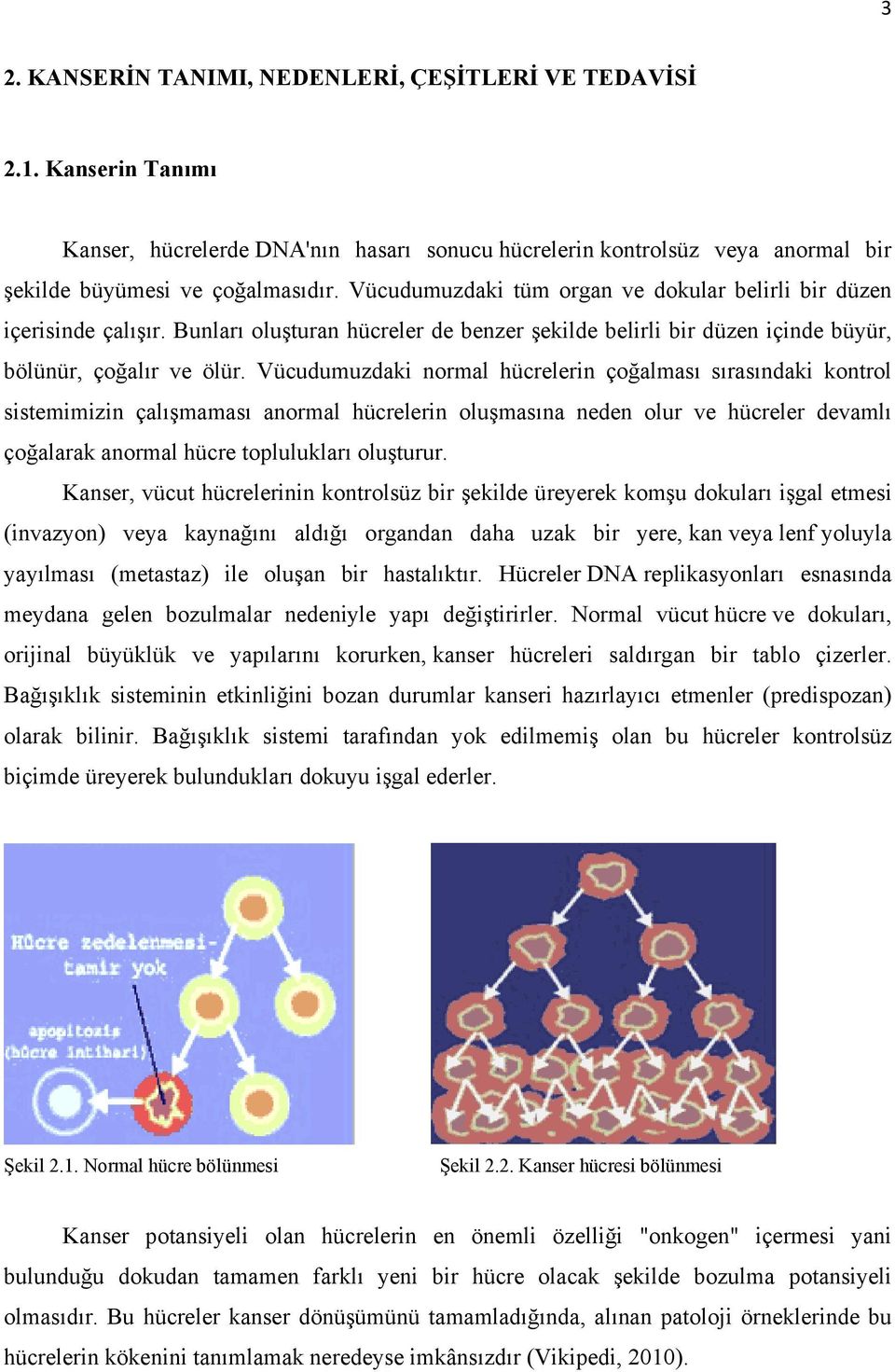 Vücudumuzdaki normal hücrelerin çoğalması sırasındaki kontrol sistemimizin çalışmaması anormal hücrelerin oluşmasına neden olur ve hücreler devamlı çoğalarak anormal hücre toplulukları oluşturur.