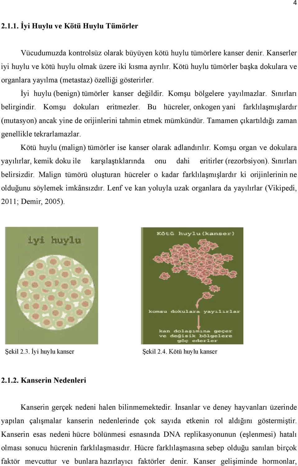 Komşu dokuları eritmezler. Bu hücreler, onkogen yani farklılaşmışlardır (mutasyon) ancak yine de orijinlerini tahmin etmek mümkündür. Tamamen çıkartıldığı zaman genellikle tekrarlamazlar.