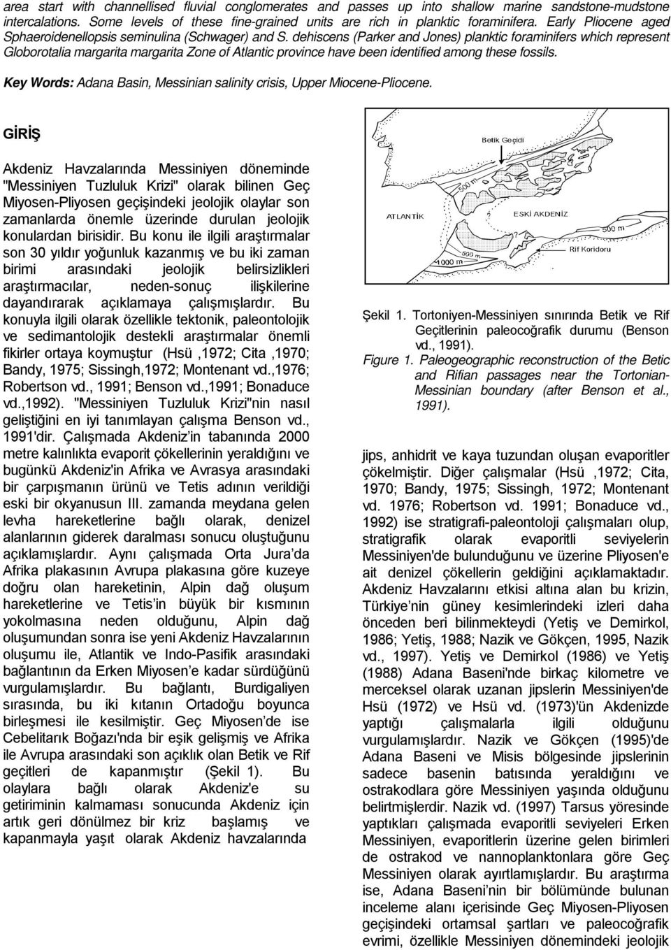 dehiscens (Parker and Jones) planktic foraminifers which represent Globorotalia margarita margarita Zone of Atlantic province have been identified among these fossils.