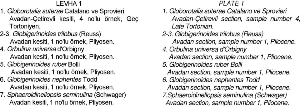 Sphaeroidinellopsis seminulina (Schwager) Avadan kesiti, 1 no'lu örnek, Pliyosen. PLATE 1 1. Globorotalia suterae Catalano ve Sprovieri Avadan-Çetirevli section, sample number 4, Late Tortonian. 2-3.