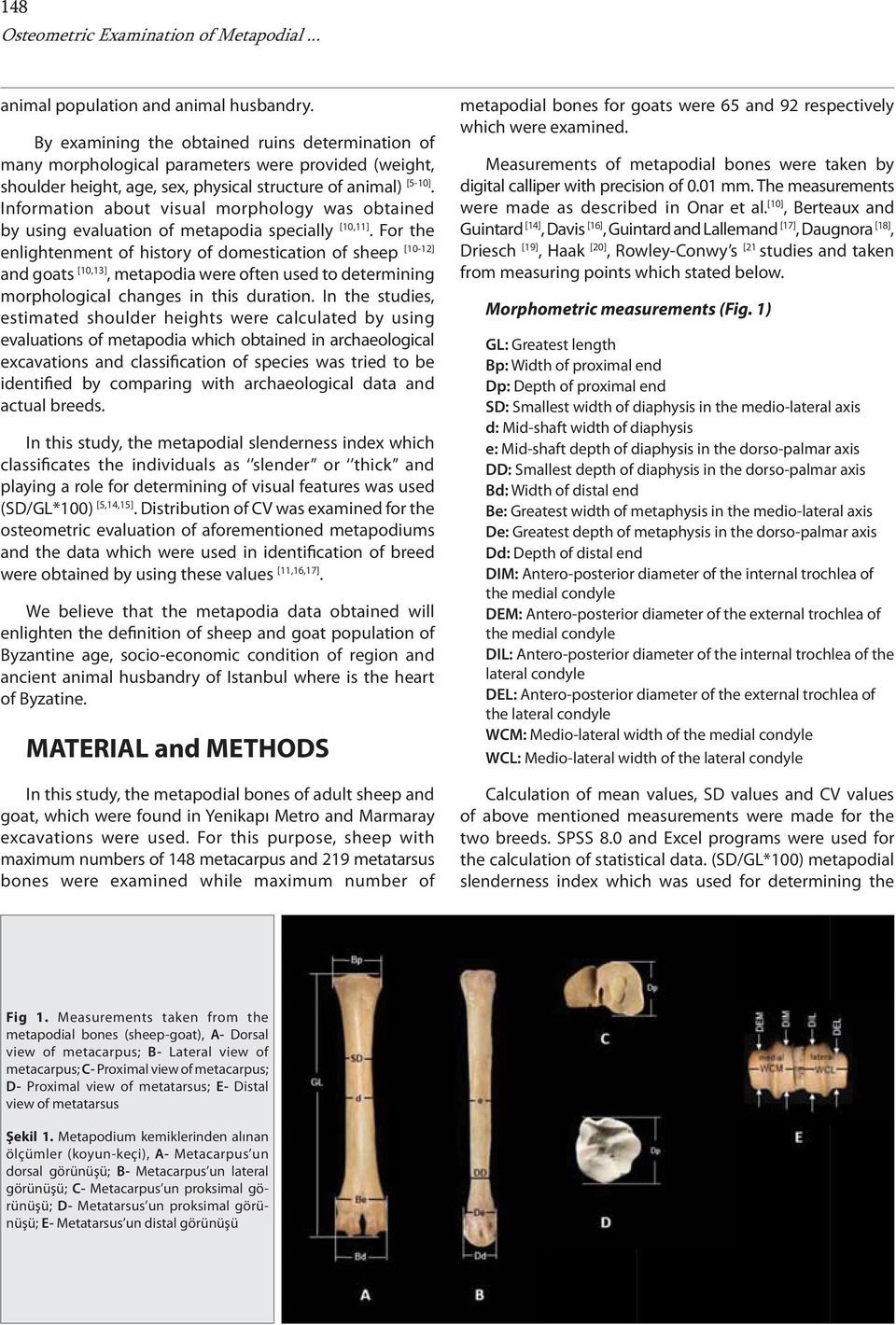 Information about visual morphology was obtained by using evaluation of metapodia specially [10,11].