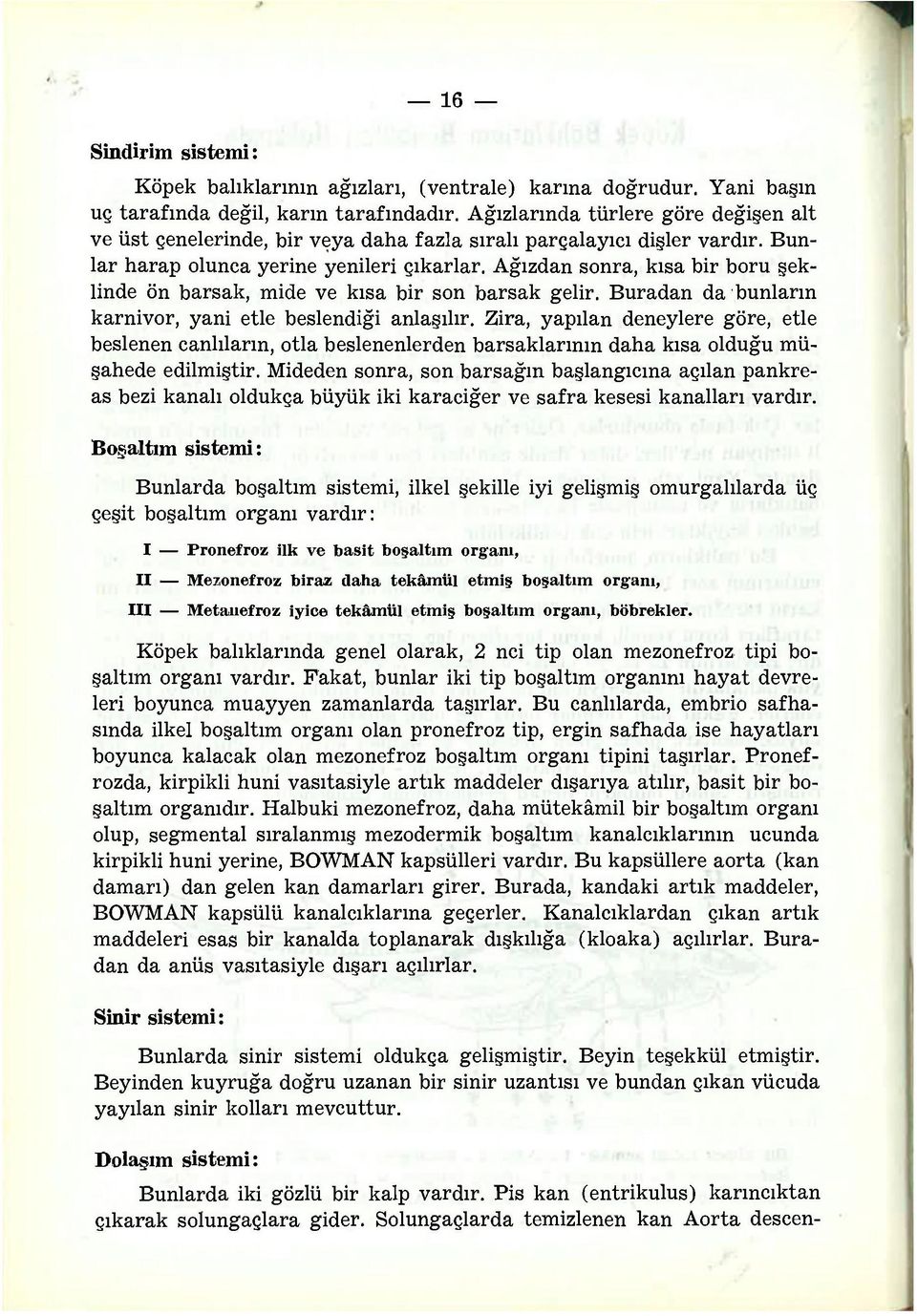 Ağızdan sonra, kısa bir boru şeklinde ön barsak, mide ve kısa bir son barsak gelir. Buradan da bunların karnivor, yani etle beslendiği anlaşılır.