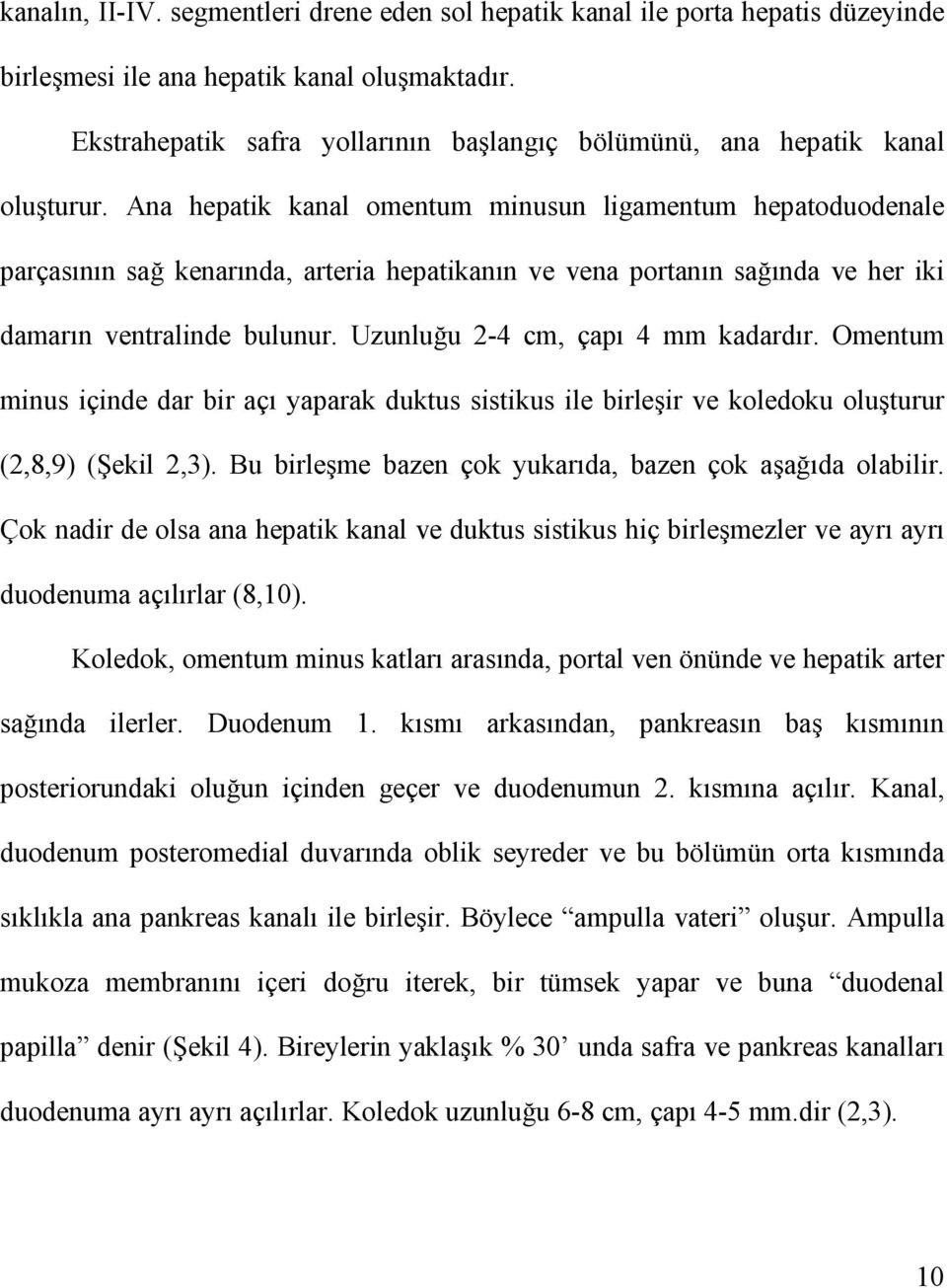 Ana hepatik kanal omentum minusun ligamentum hepatoduodenale parçasının sağ kenarında, arteria hepatikanın ve vena portanın sağında ve her iki damarın ventralinde bulunur.