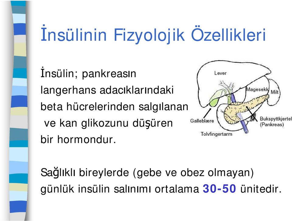 kan glikozunu düşüren bir hormondur.