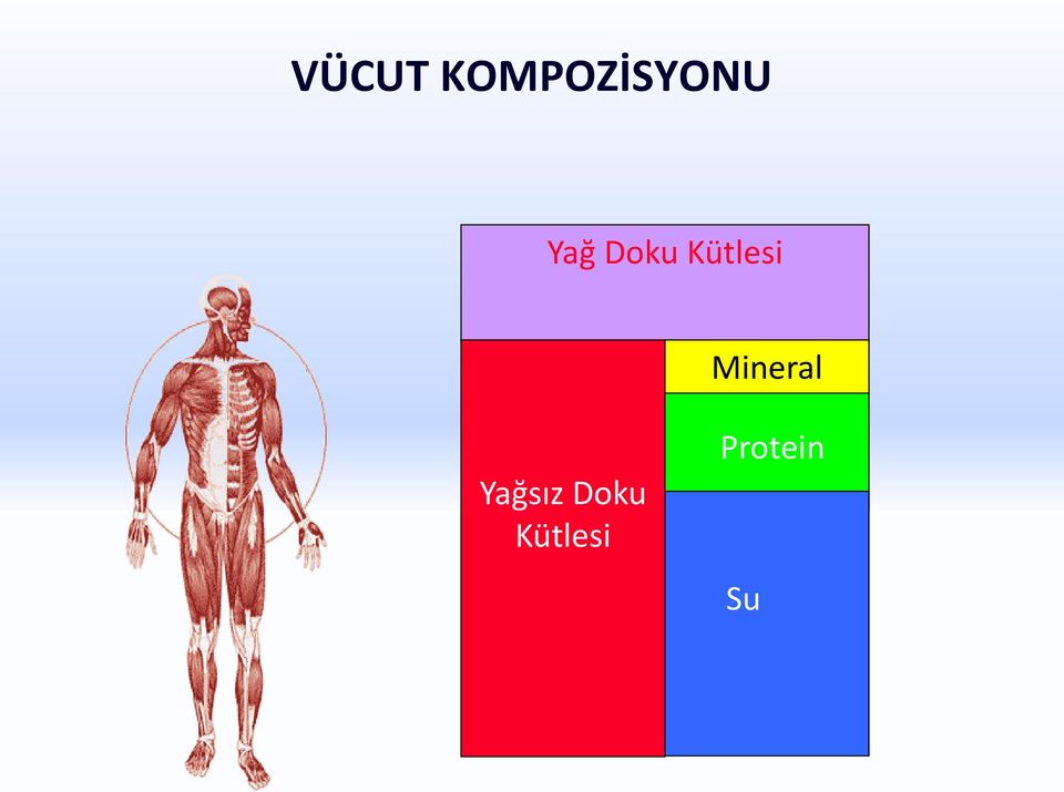 Mineral Yağsız