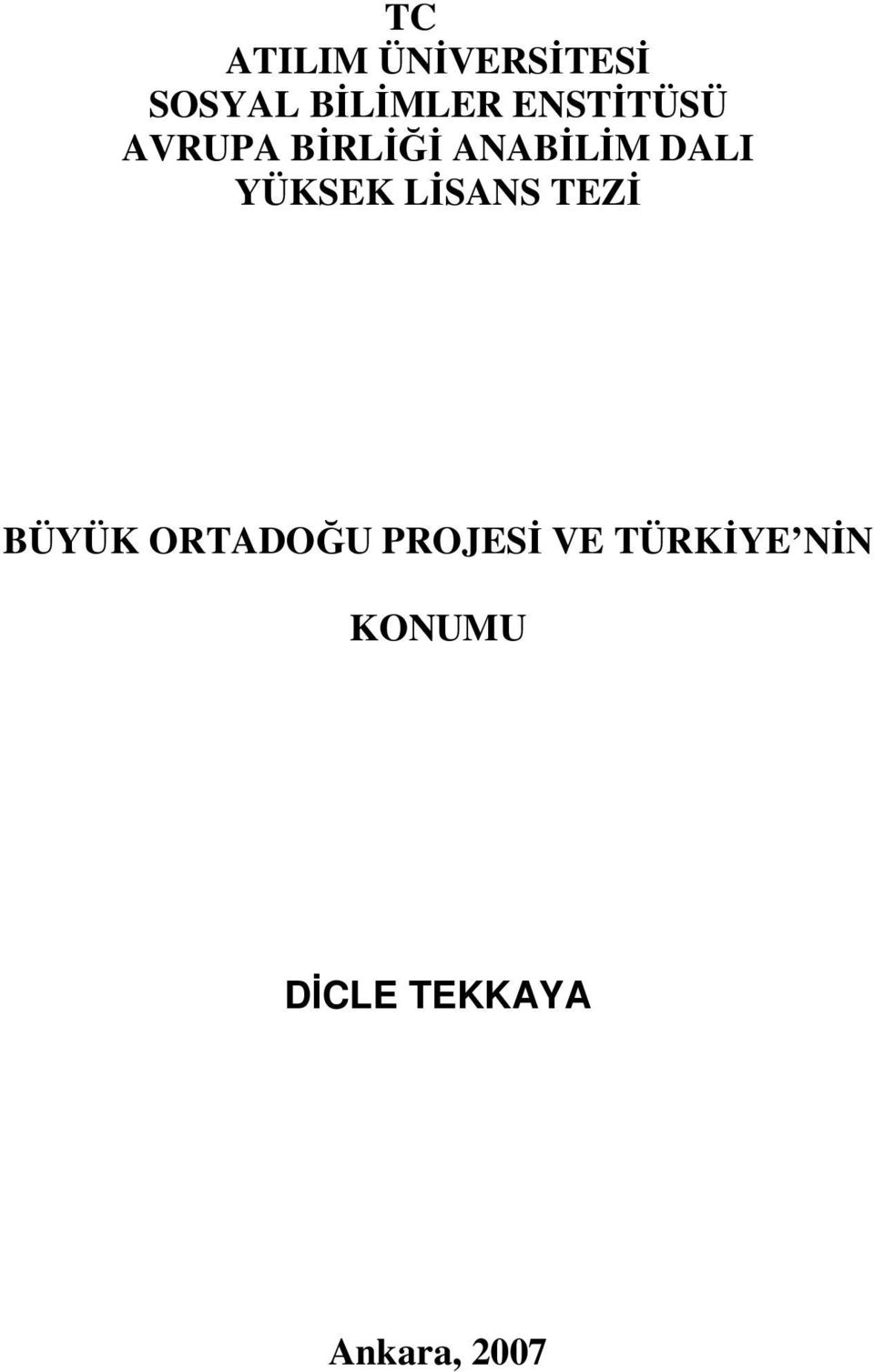 YÜKSEK LİSANS TEZİ BÜYÜK ORTADOĞU PROJESİ