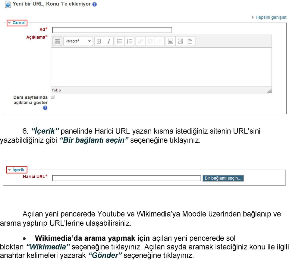 Açılan yeni pencerede Youtube ve Wikimedia ya Moodle üzerinden bağlanıp ve arama yaptırıp URL lerine