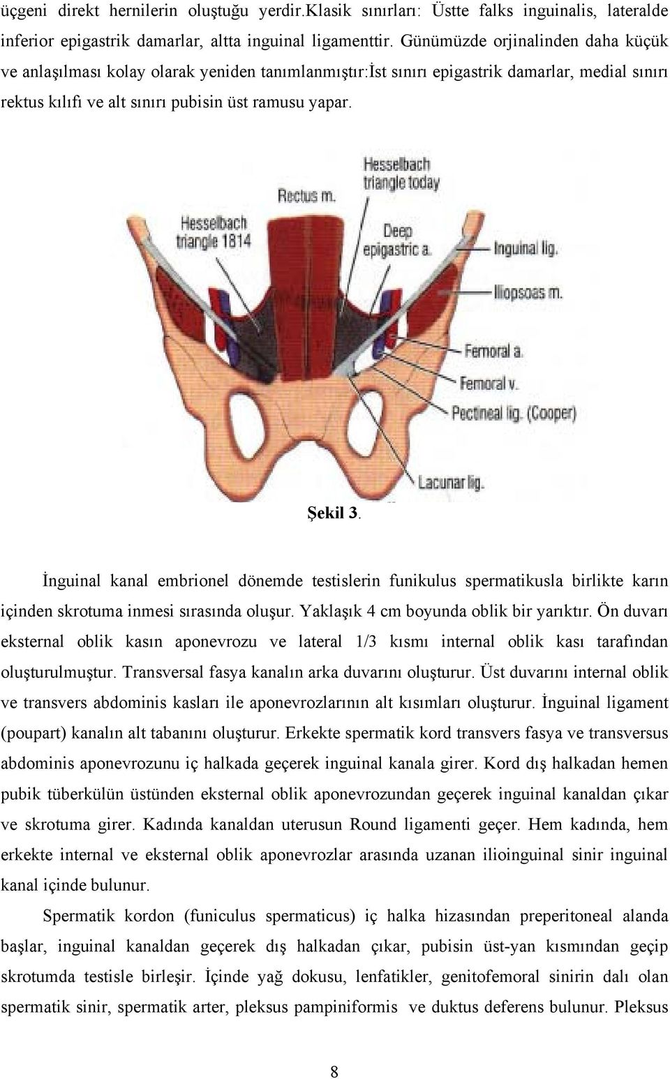 İnguinal kanal embrionel dönemde testislerin funikulus spermatikusla birlikte karın içinden skrotuma inmesi sırasında oluşur. Yaklaşık 4 cm boyunda oblik bir yarıktır.