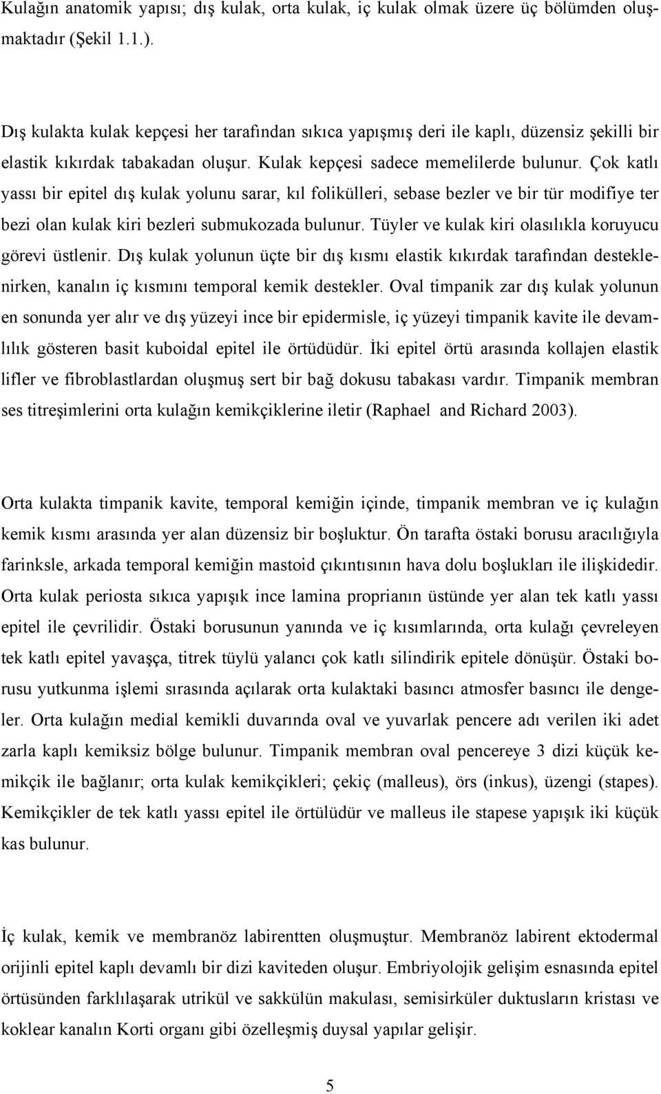 Çok katlı yassı bir epitel dış kulak yolunu sarar, kıl folikülleri, sebase bezler ve bir tür modifiye ter bezi olan kulak kiri bezleri submukozada bulunur.